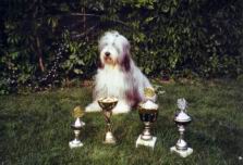 Pokal_2.jpg