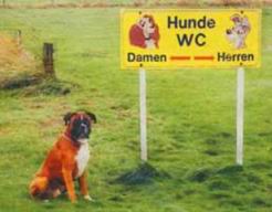 Hundeklo.jpg
