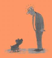 hund-gehorcht.jpg