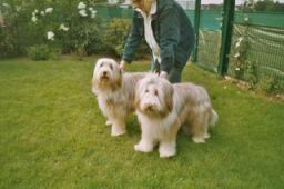 D-Wurf_07_2004_07.jpg