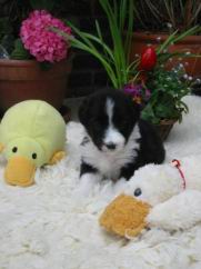 120-0011_IMG.JPG