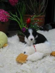 120-0012_IMG.JPG
