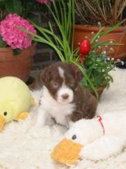 120-0013_IMG.JPG