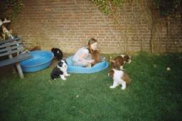 D-Wurf_07_2004_01.jpg