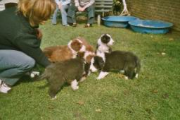 D-Wurf_07_2004_04.jpg