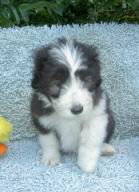 amys kinder 017.jpg