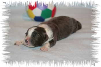 joybaby1w 026.jpg