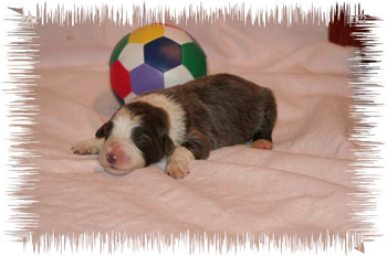joybaby1w 047.jpg