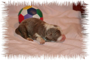 joybaby1w 054.jpg