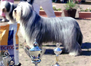 Scottsdale_Original.jpg