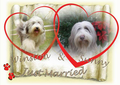 Winston & Sunny