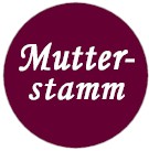 Mutterstamm