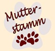 Mutterstamm