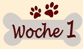 Woche 1