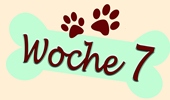 Woche 7