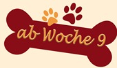 im neuen Zuhause